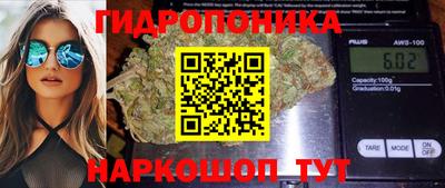 трава Гатчина