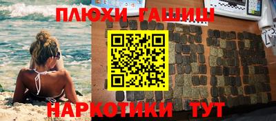 гидра Гай