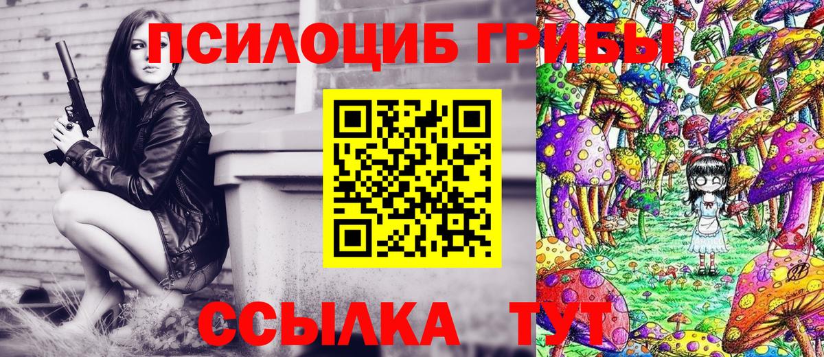 Галлюциногенные грибы Cubensis  Псилоцибиновые грибы GOLDEN TEACHER  Вход с VPN  Чебоксары 